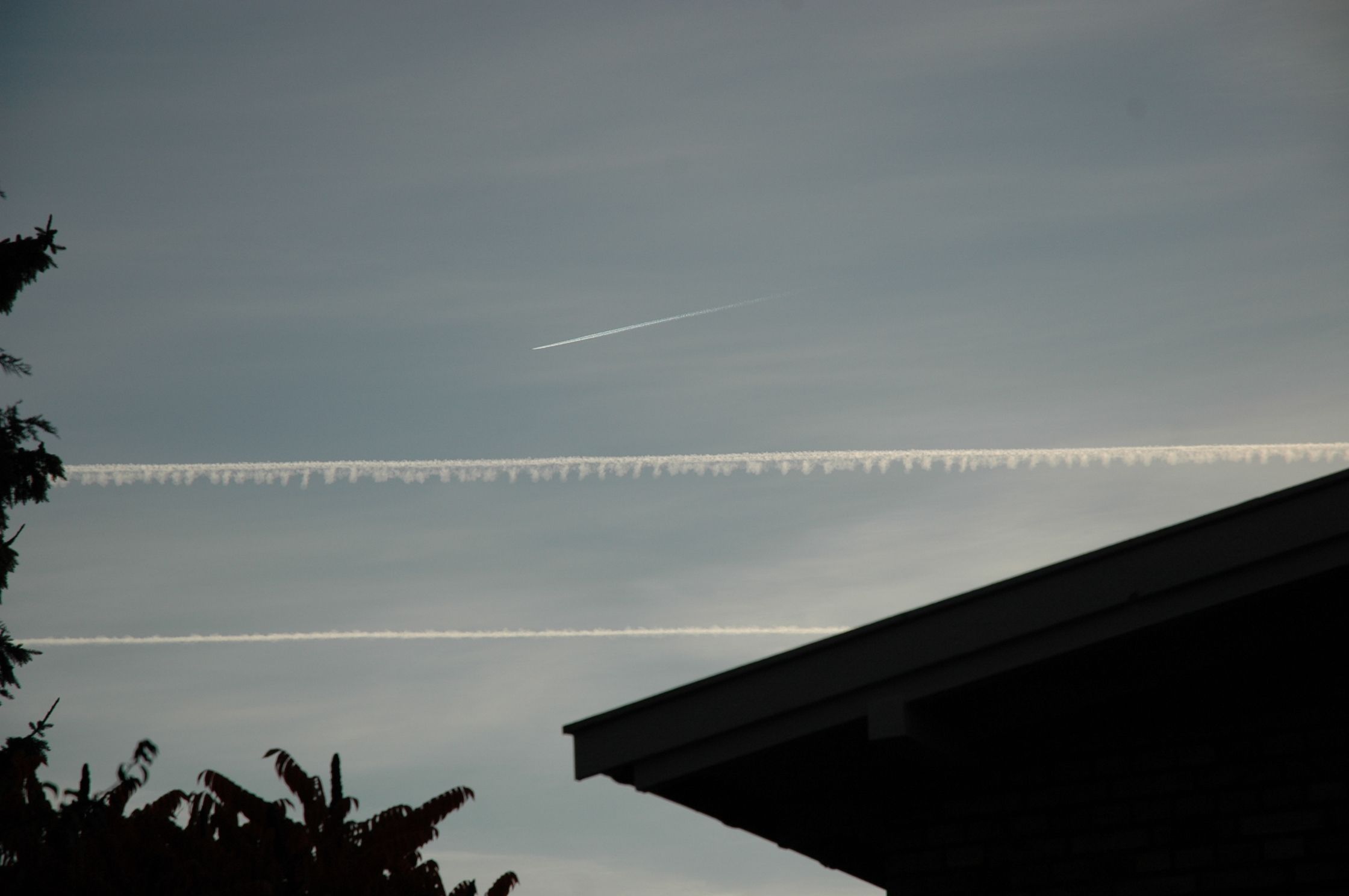 chemtrails_danmark_cph_18_10_2008_08-38-02.jpg chemtrails_danmark_cph_18_10_2008_08-38-02.jpg
