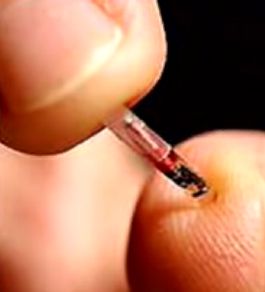 microchip_microarray_rfid_dna-chip_implant.jpg microchip_microarray_rfid_dna-chip_implant.jpg